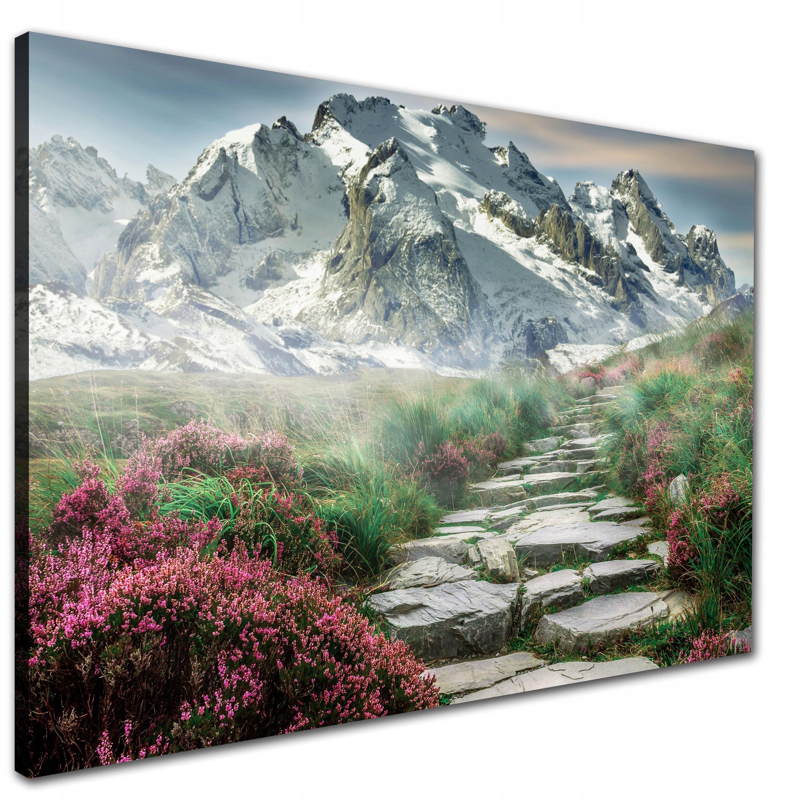 

Obraz Górski Krajobraz 100x70