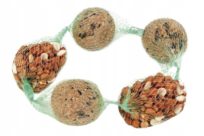 Ptasie przysmaki - pyzy orzechy dla dzikich ptaków