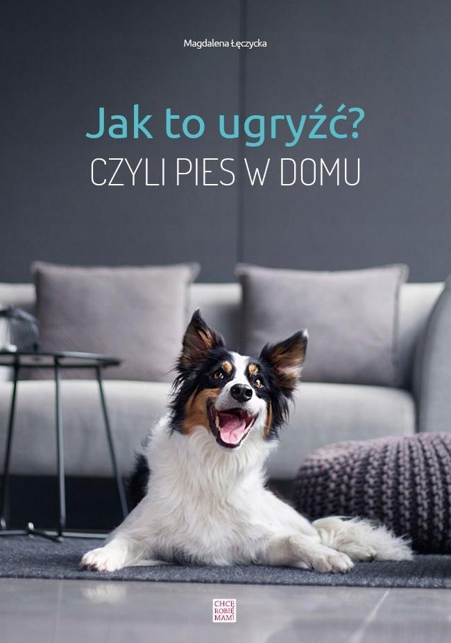 

Jak to ugryźć czyli pies w domu Łęczycka na psa