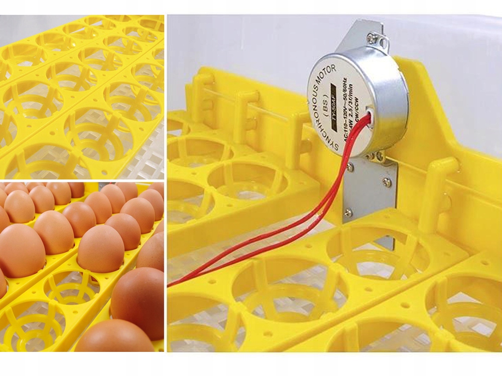 INKUBATOR AUTOMATYCZNY do DROBIU kura kaczka bażant indyk gęś BOGATY ZESTAW Rodzaj inkubator z klujnikiem