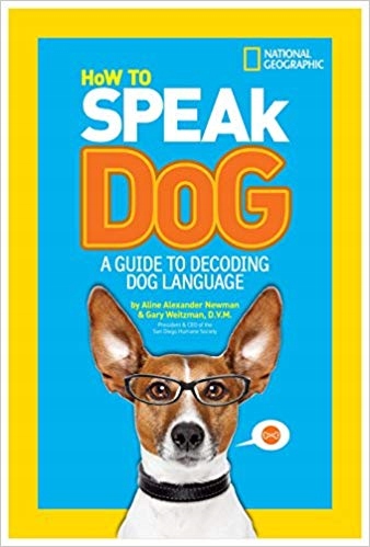 How to Speak Dog A Guide to Decoding Dog Language