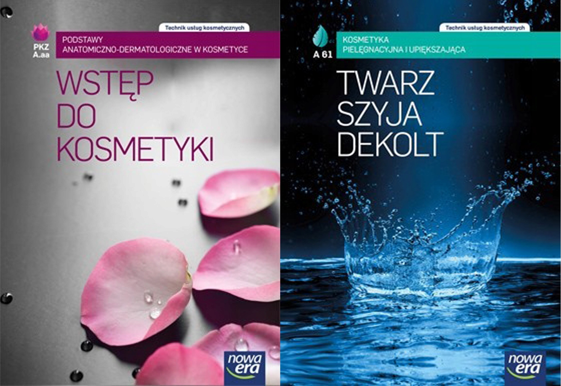 

Wstęp do kosmetyki Twarz szyja dekolt Pakiet