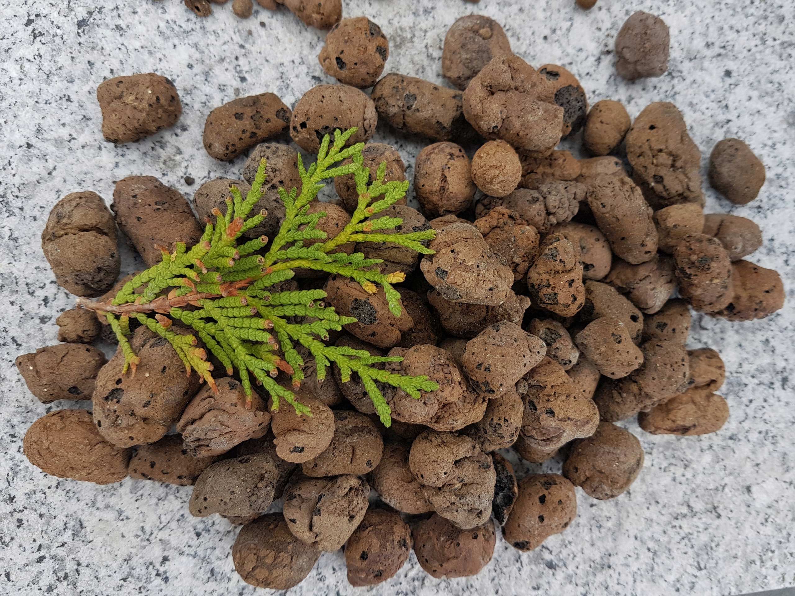 Keramzyt do doniczek Frakcja 8-16 mm