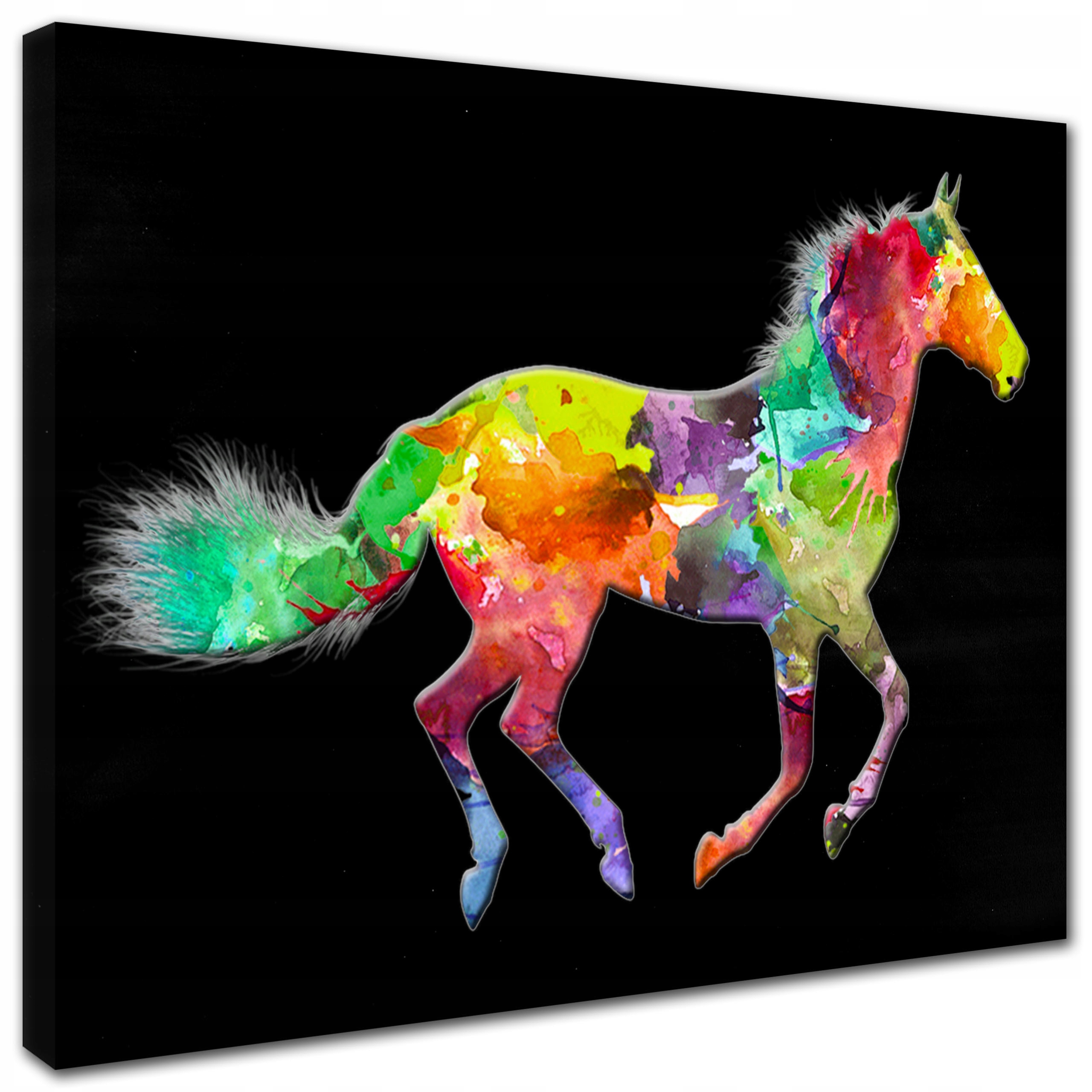 

Obraz do salonu 50x40 Kolorowy Koń