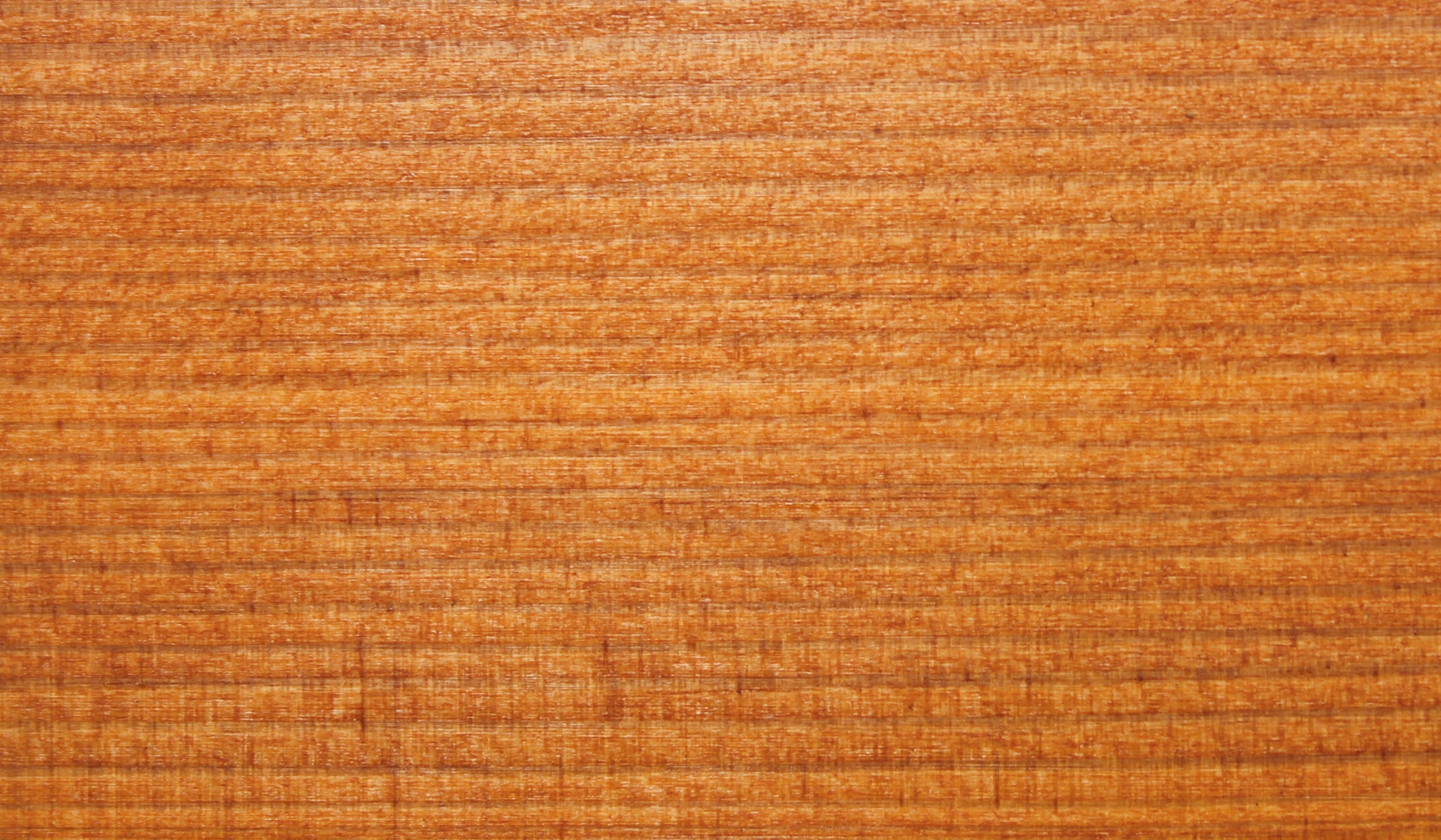 OLEJ DO TARASU Remmers Pflege Ol daglezja 2,5 L Marka Remmers