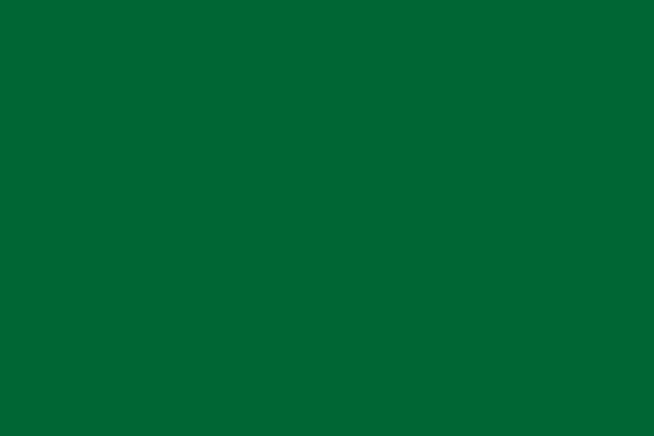 

Folia odblaskowa samoprzylepna Oracal zielona