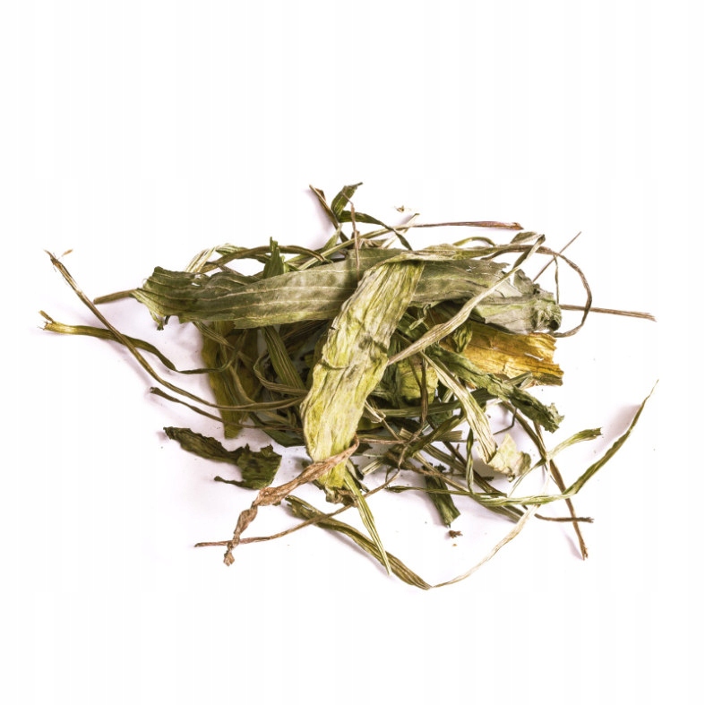 TIVO babka lancetowata 150g dla gryzoni i królików Waga produktu 0.15 kg