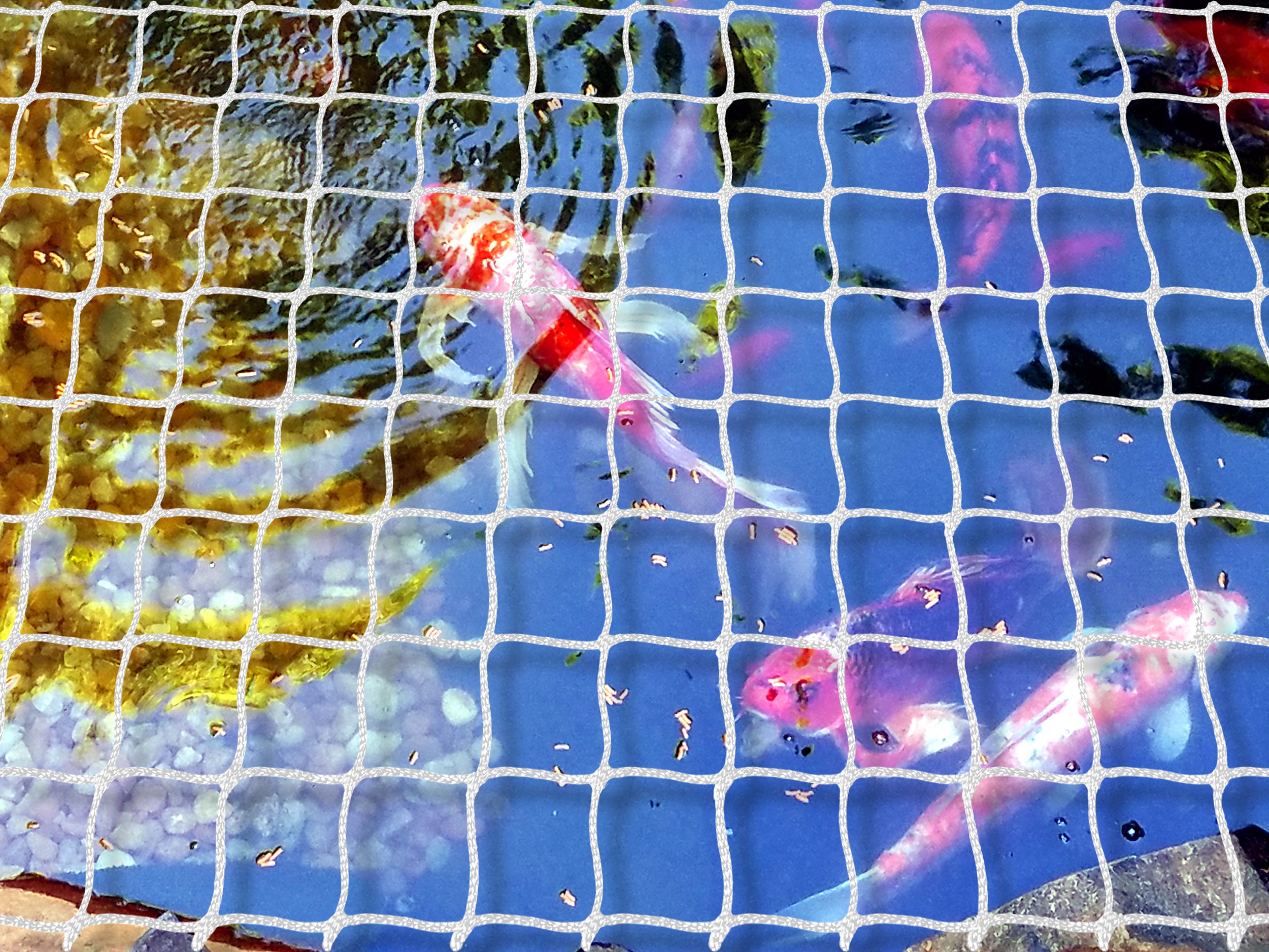 OCHRONA OCZKA WODNEGO ALTANKI ZABEZPIECZENIE Typ łóżko piętrowe