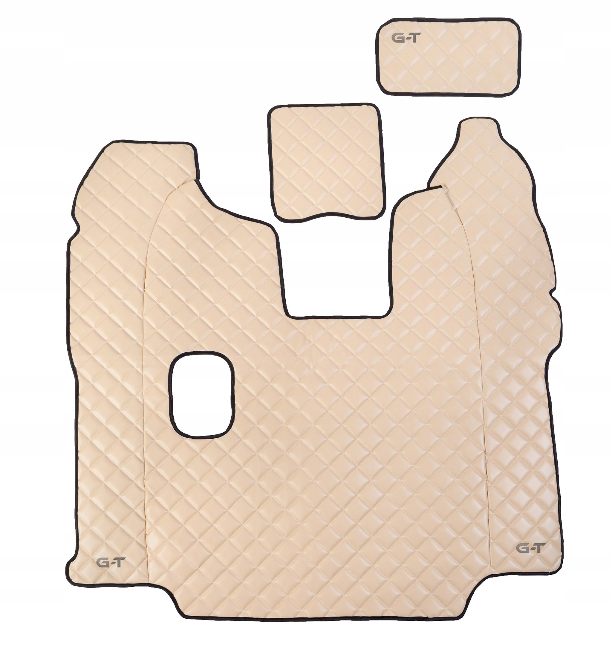 DYWANY PIKOWANE EKO SCANIA R PO 2009 r MANUAL Brand Giz Trans