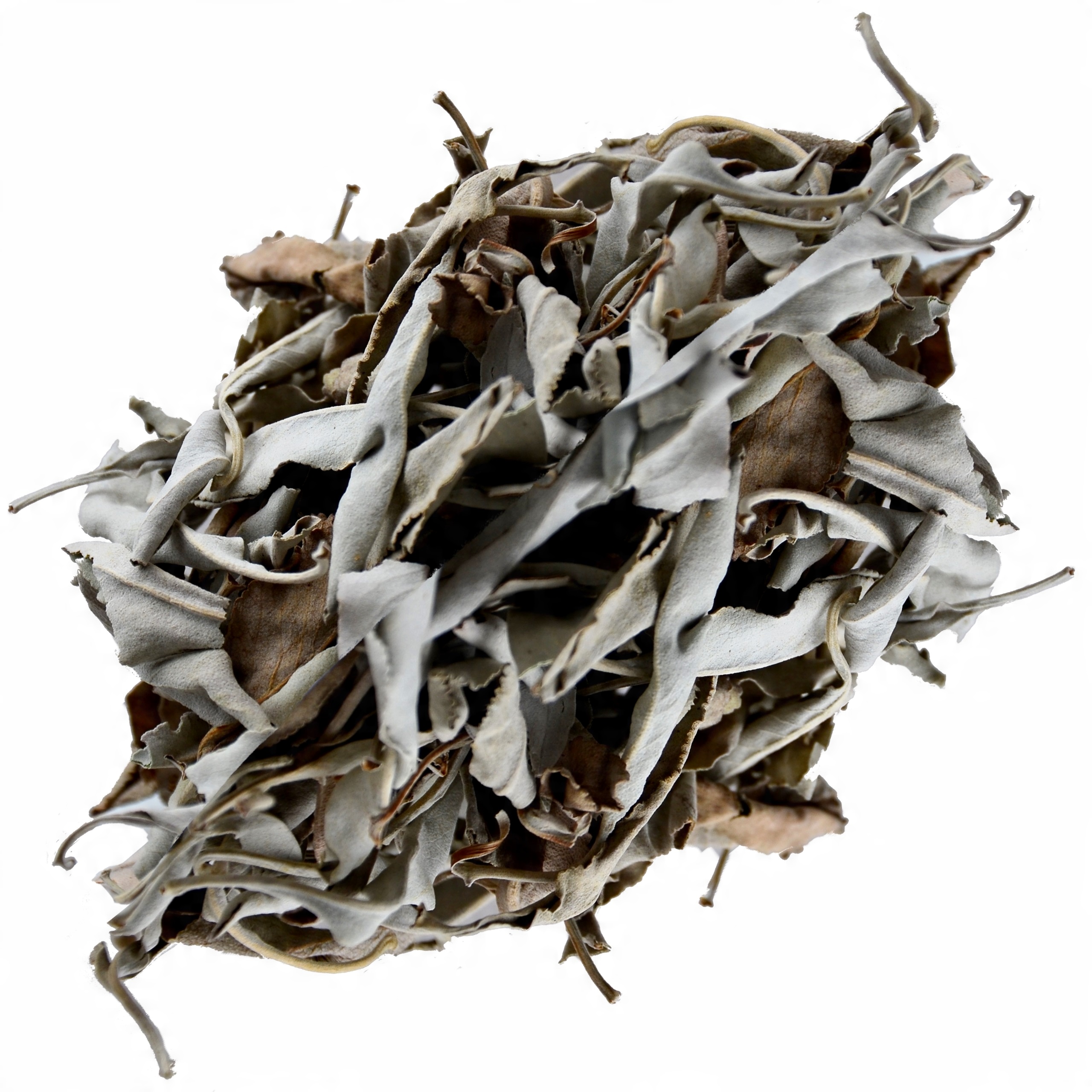 

Biała Szałwia Salvia Apiana Wysoka Jakość 50g