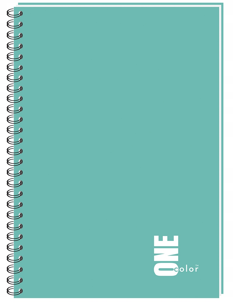 Kołozeszyt A4 100 kratka kołonotatnik one color