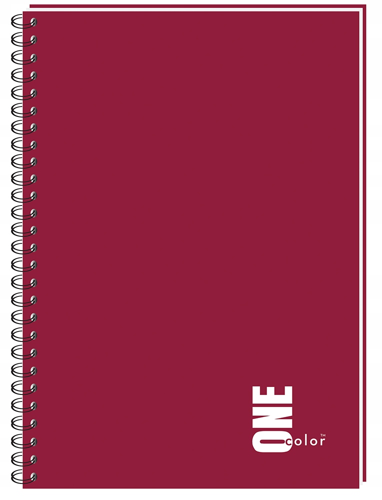 Kołozeszyt A4 100 kratka kołonotatnik one color Liczba kartek 100