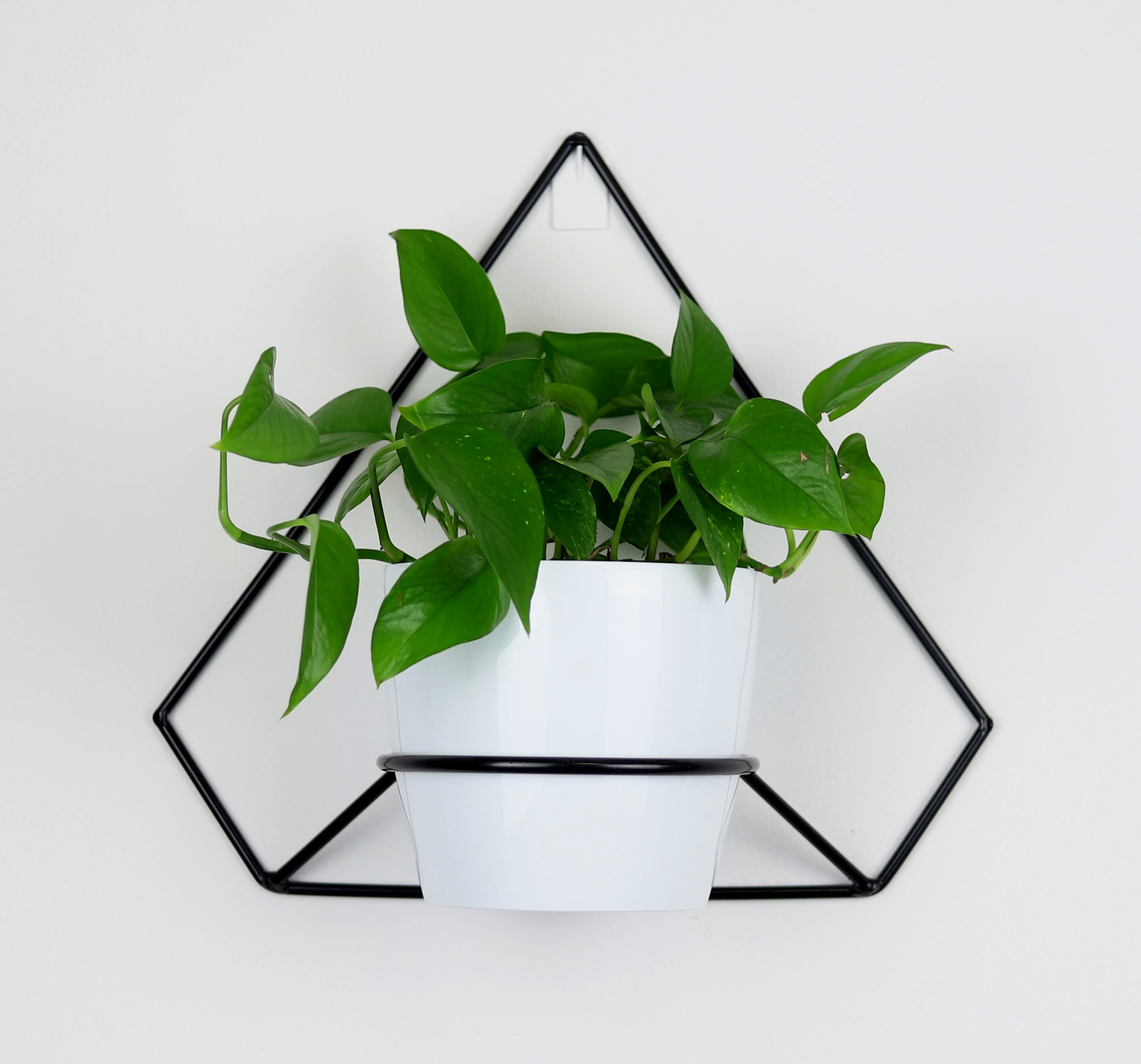 

Kwietnik Metalowy Ścienny 38/42cm czarny Pentagono