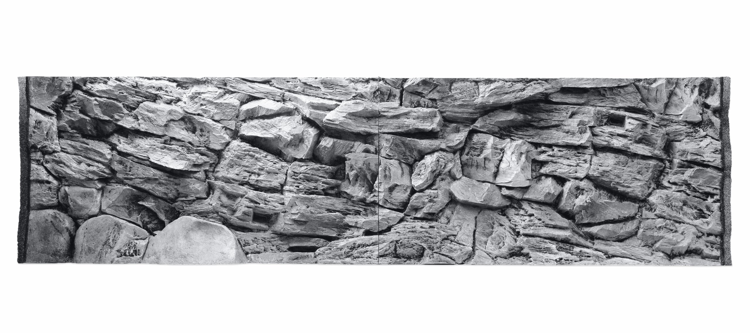 Аквариум 3d Rückwand Terrarienrückwand Felsnachbildung 60x30 Strucktur Wand neu