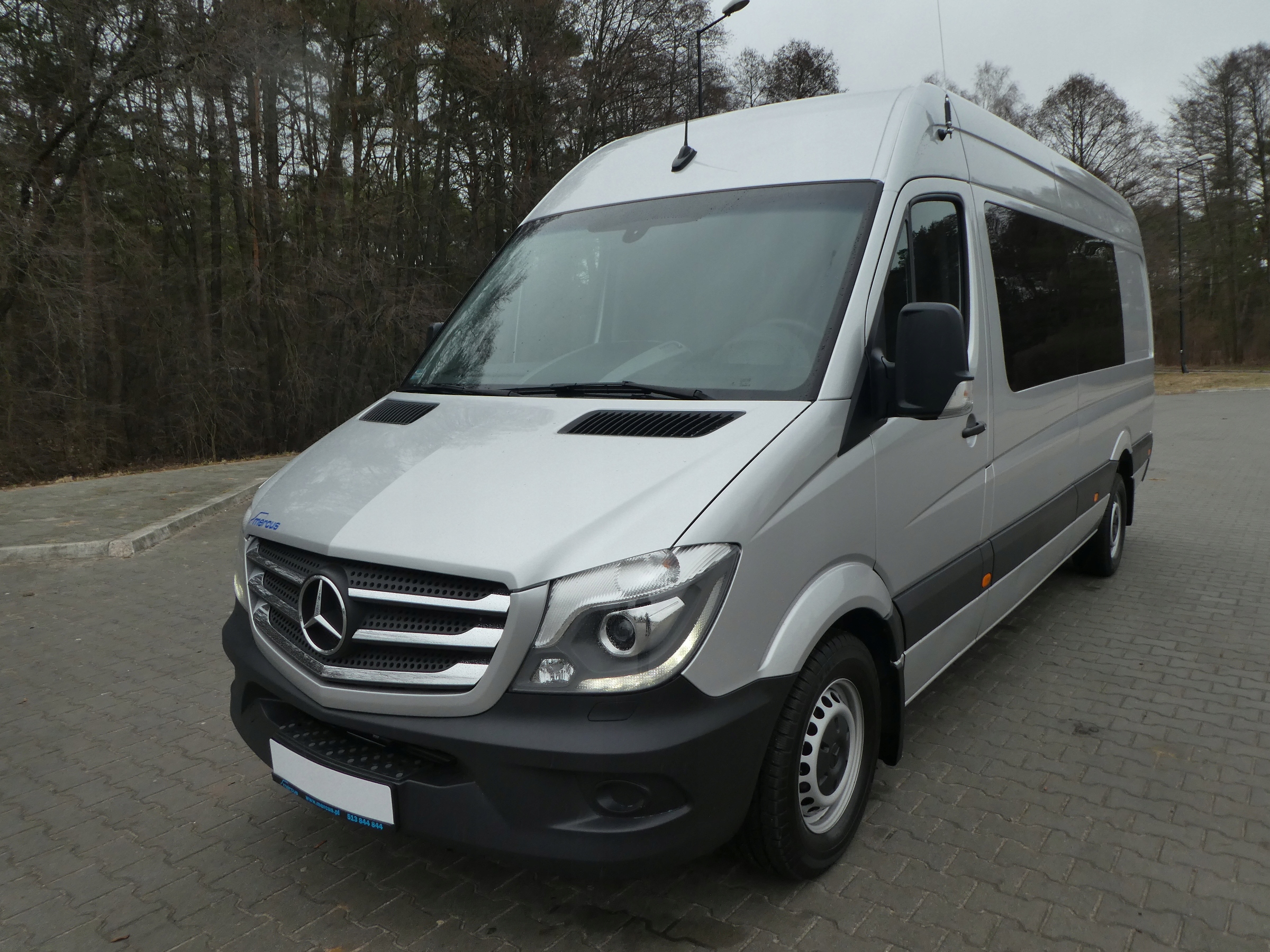 Купить мерседес с пробегом в белоруссии. Mercedes Sprinter 319. Mersedes Sprinter 315 CDI серебристый. Mercedes Sprinter 312d. Мерседес Спринтер 906 серебристый.