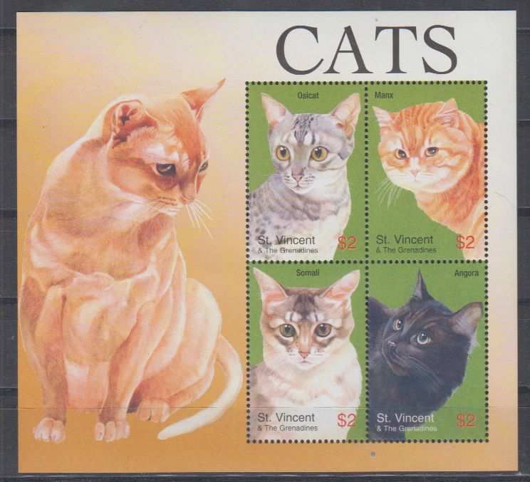 Кошки крисси снеллинг. Индекс cat. Кошка. Мейн кун лежит на белом фоне. Австралийская дымчатая кошка.