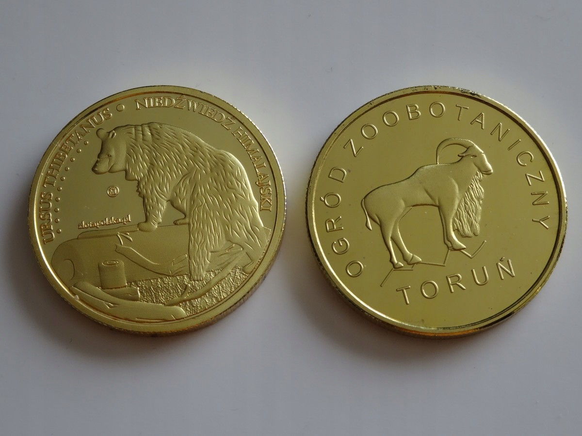 Рублевая монета с медведем. Мишка монет. Монета монголии медведь гоби. Серебряная монета медведь. Мишка монет.