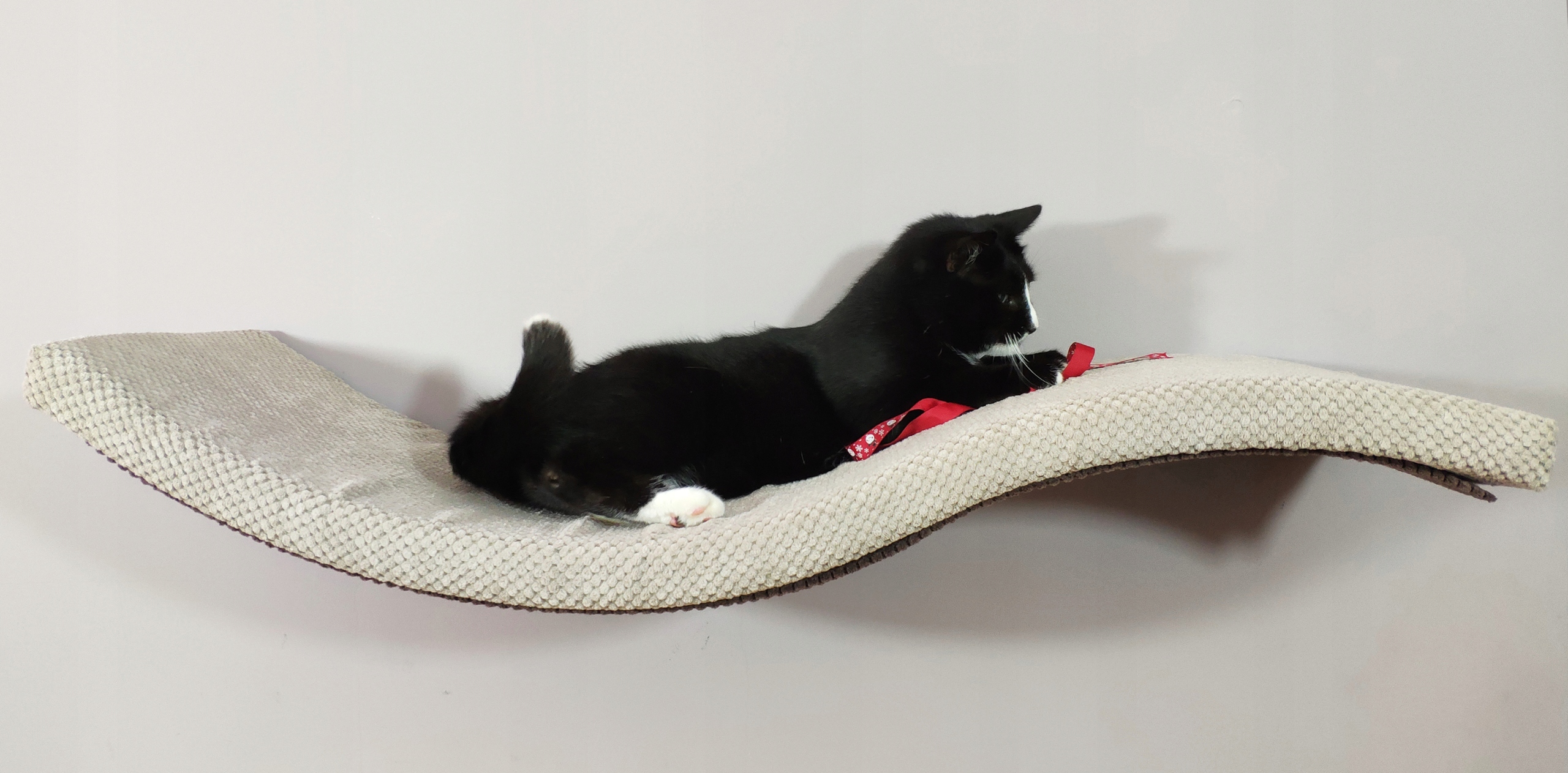 Półka półki dla kota Fala asymetr 90 cm legowisko - 7596501975