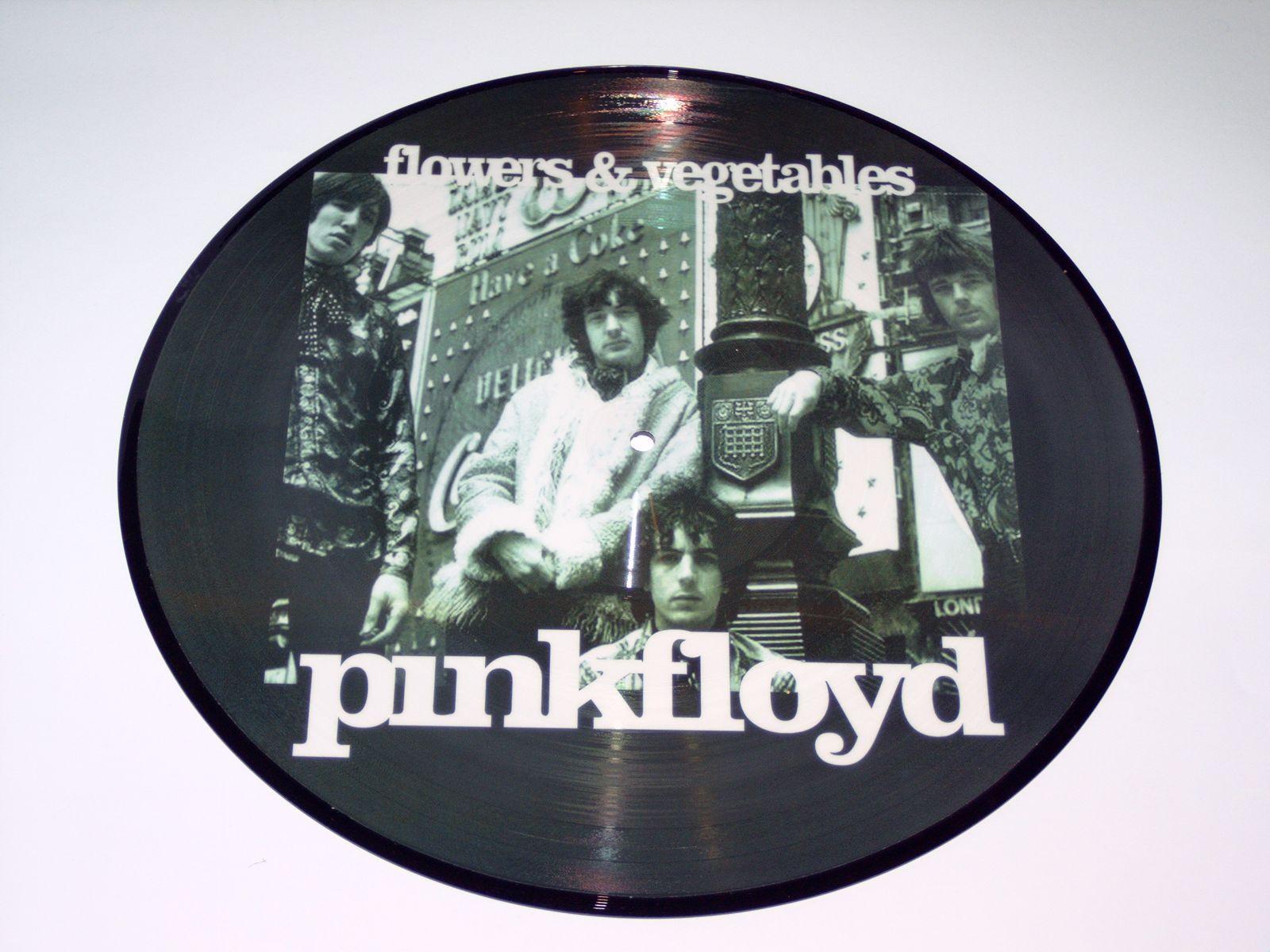 PINK FLOYD FLOWERS AND VEGETABLES PICTURE N3506 7244951666
