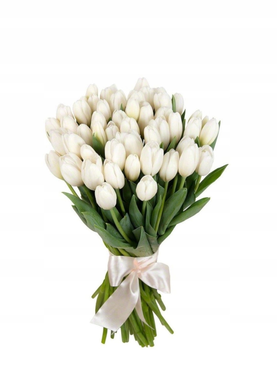 Белые тюльпаны символ. Тюльпаны на белом фоне. Красивый букет из белых тюльпанов. Белые тюльпаны. Белые тюльпаны.