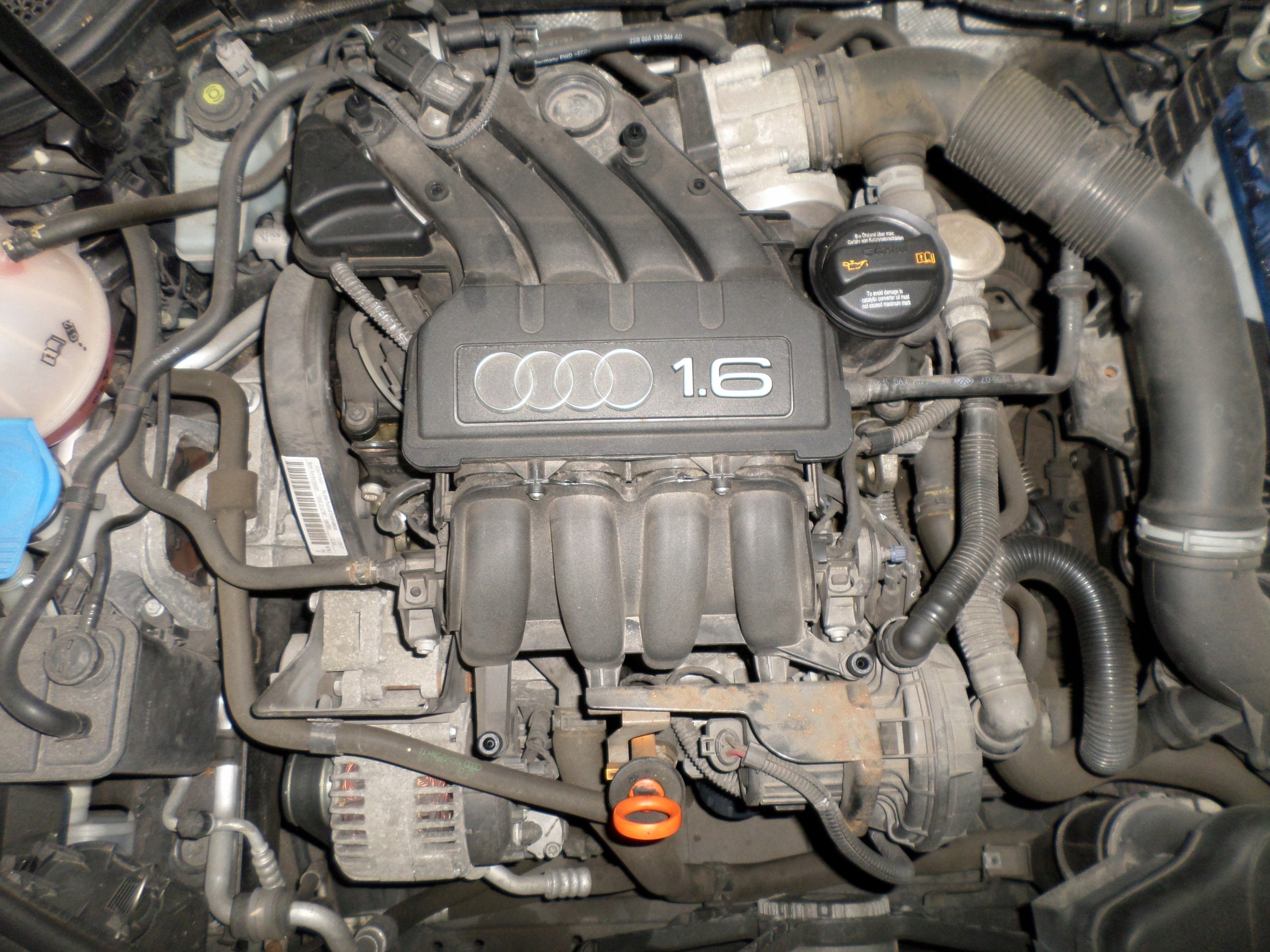 SILNIK BSE 1.6 B AUDI A3 8P SEAT LEON 102KM 7523605648 oficjalne archiwum allegro