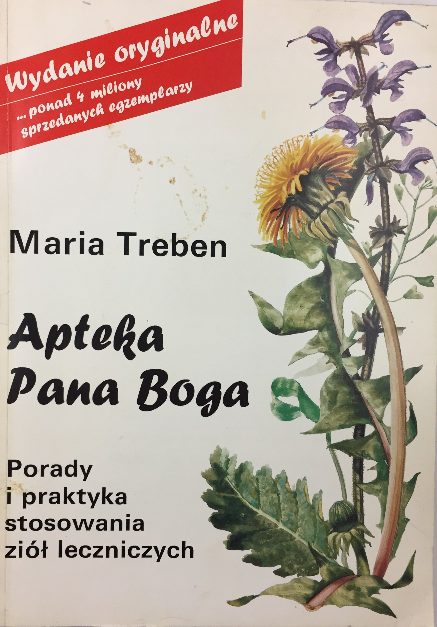 Ułóż Modlitwę W Której Przeprosisz Pana Boga Za Swoje Nieposłuszeństwo APTEKA PANA BOGA MARIA TREBEN PDF