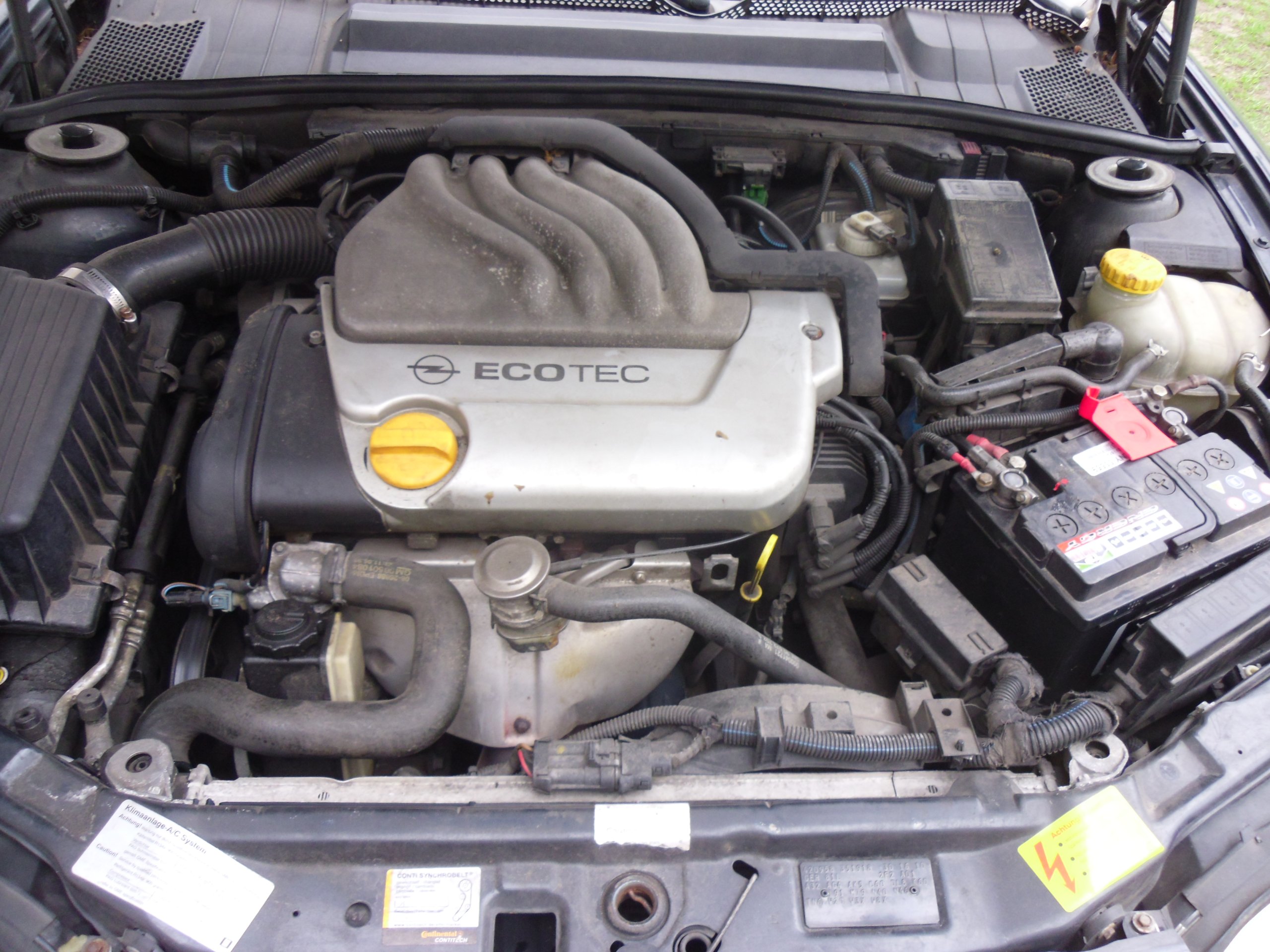 Silnik Opel Vectra B 1 6 16v X16xel Borow Wielki Sprzedajemy Pl