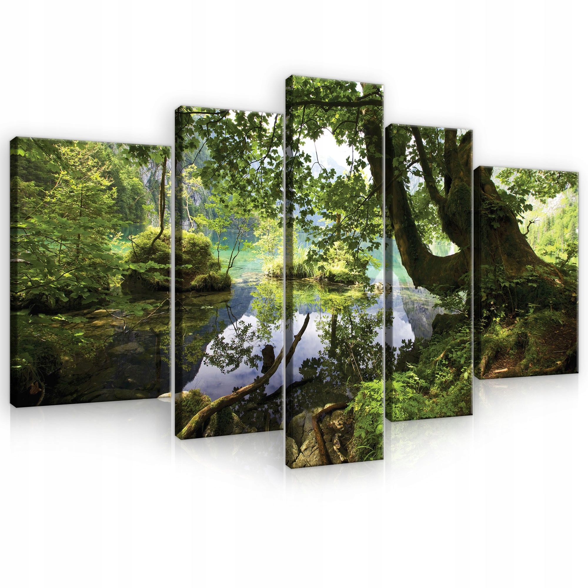 Obraz 170x100 Prírodná krajina Lesné jazero Odraz vo vode pokoj