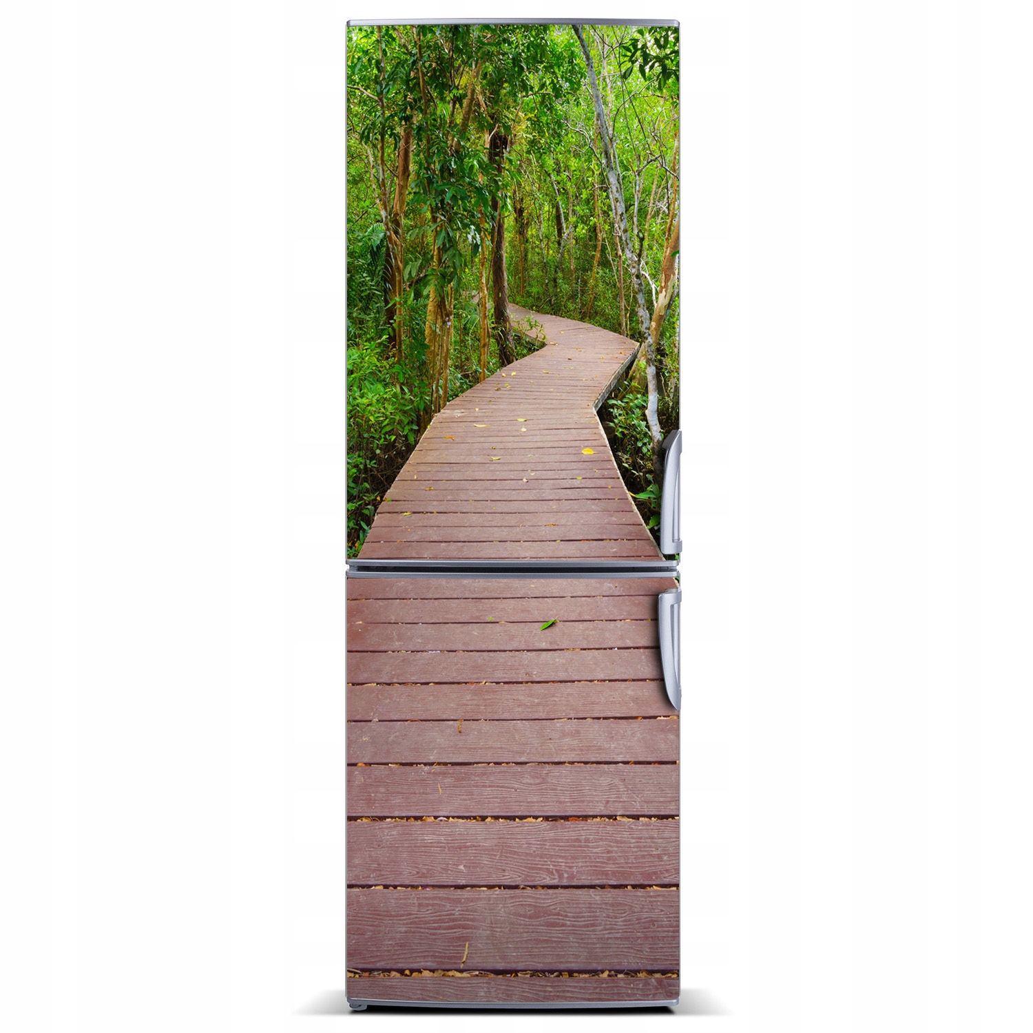 

Tapeta Magnes na lodówkę Ścieżka w dżungli 60x180
