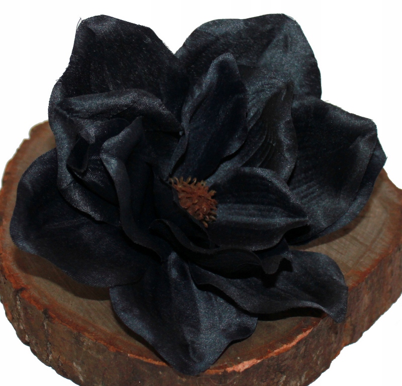 

Magnolia Główka Wyrobowa Czarna 19 cm