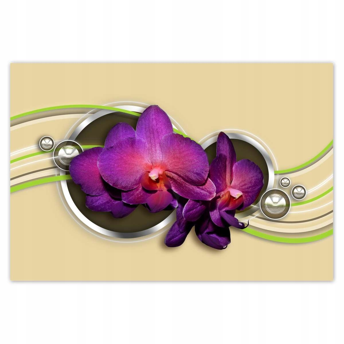 Plakáty 200x135 Orchideje