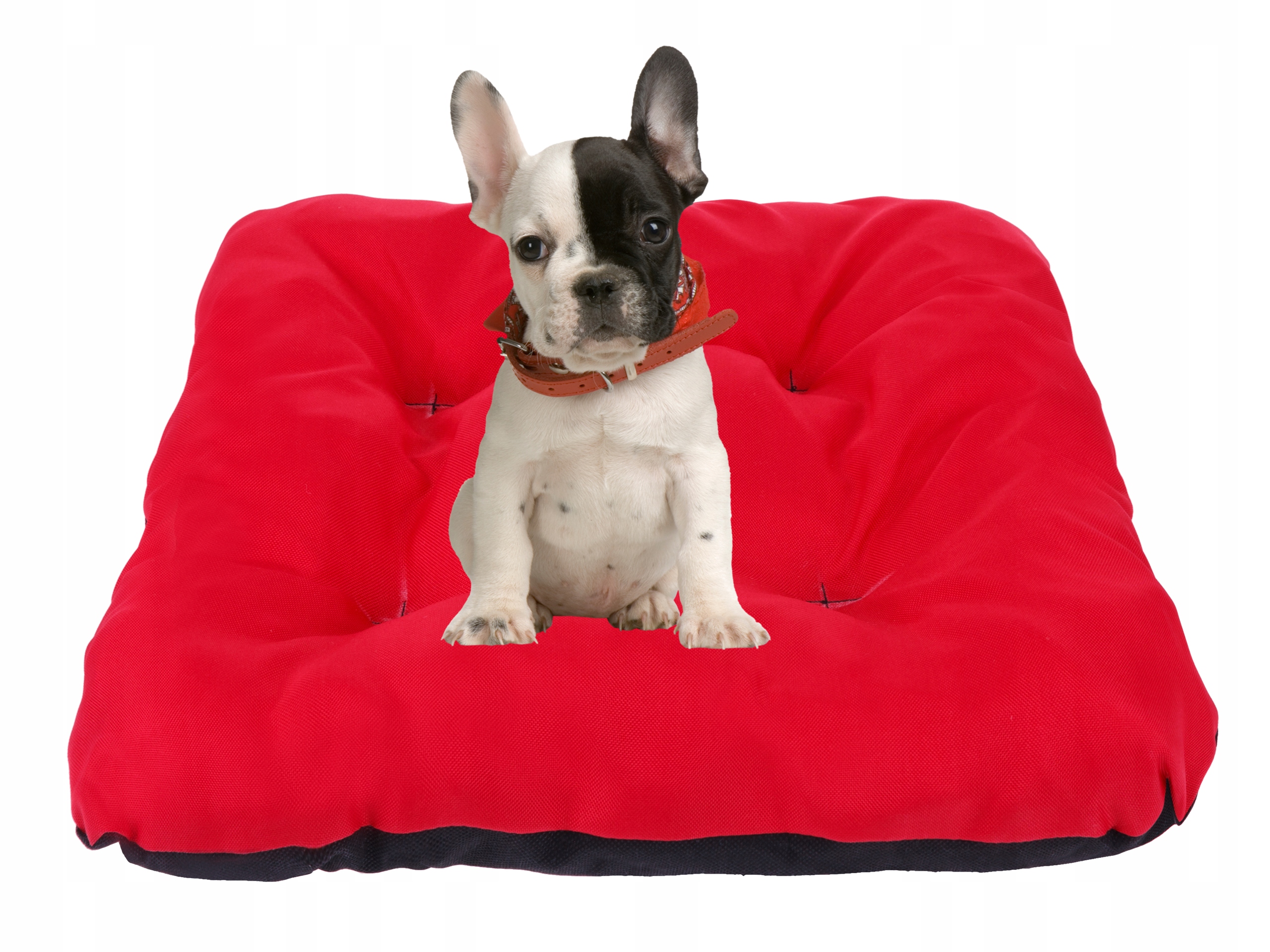 

Poduszka podusia Legowisko dla psa kota 47x47 Hit