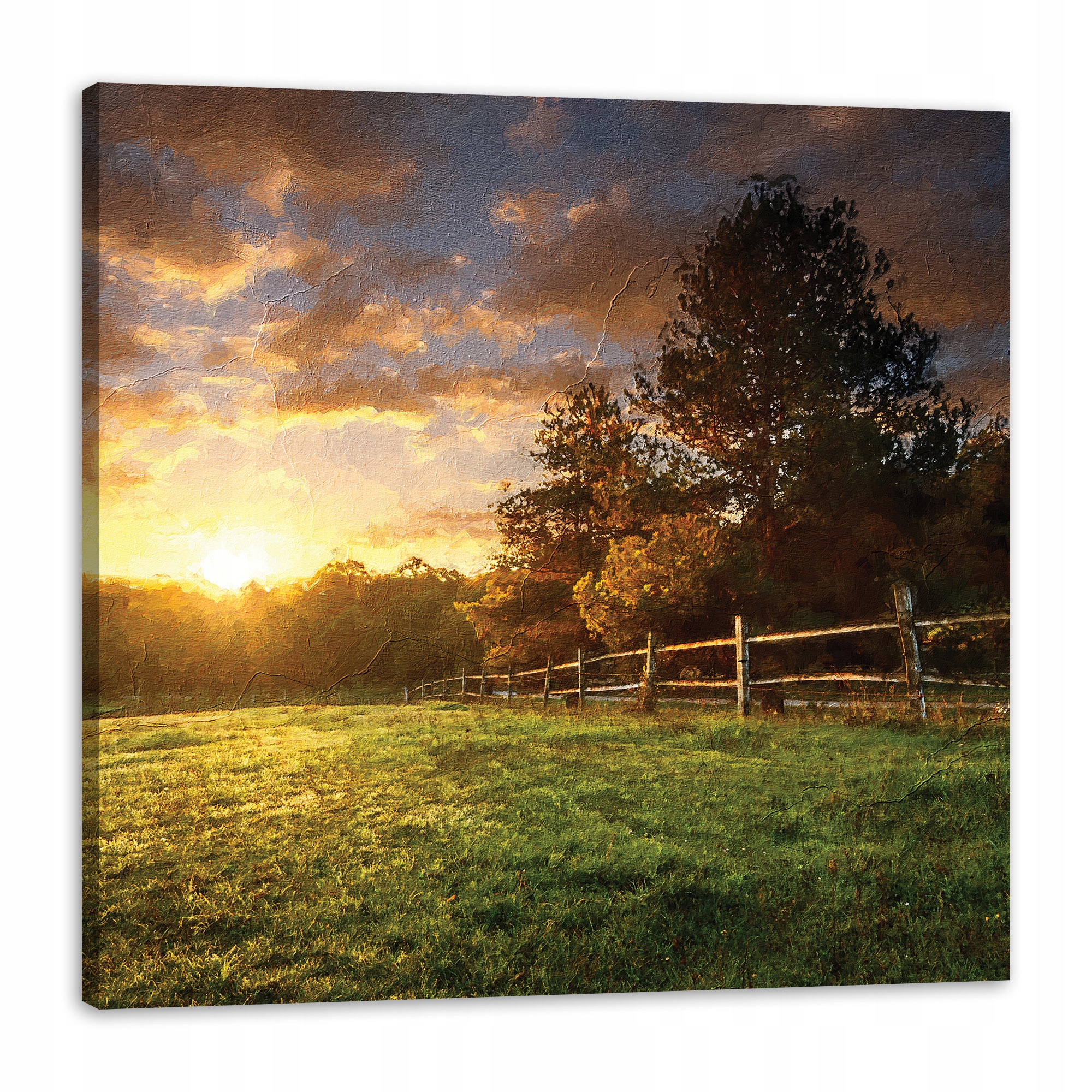 Obraz na plátně Slunce Krajina Venkovské stromy Louka 80x80 cm
