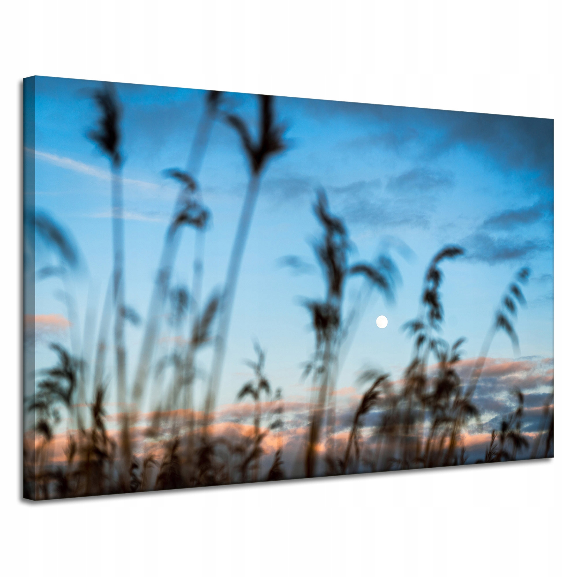 Obraz na plátně Příroda Polana Louka Východ Slunce 120x80