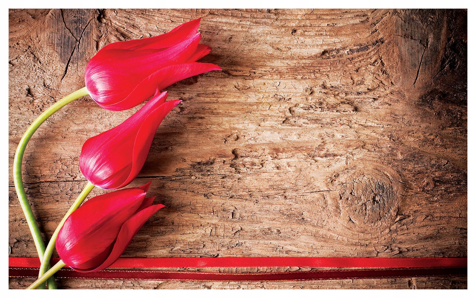 Vliesová fototapeta Červené tulipány na dřevě s texturou 368 x 254 lepidlo