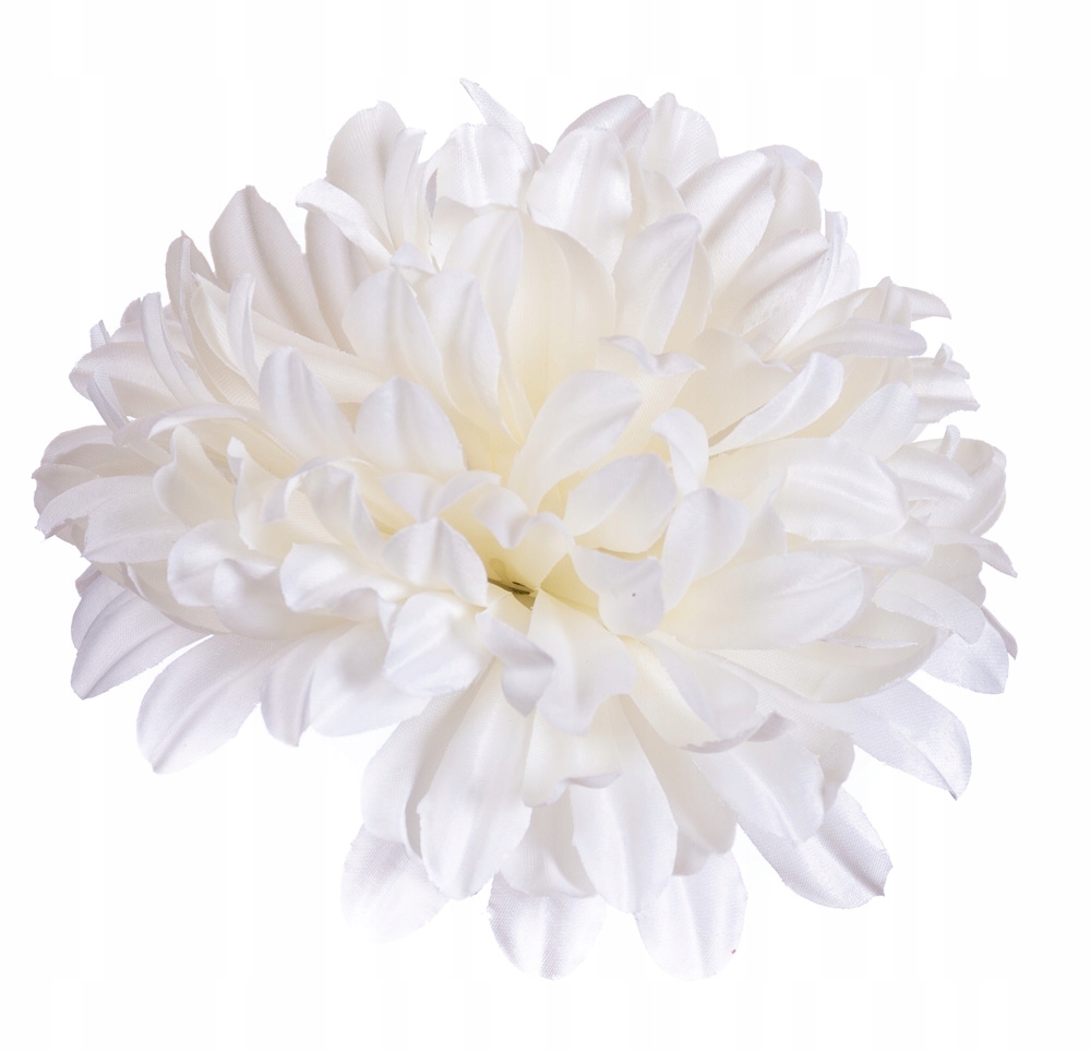 

Chryzantema satynowa główka biało kremowa wyrobowa