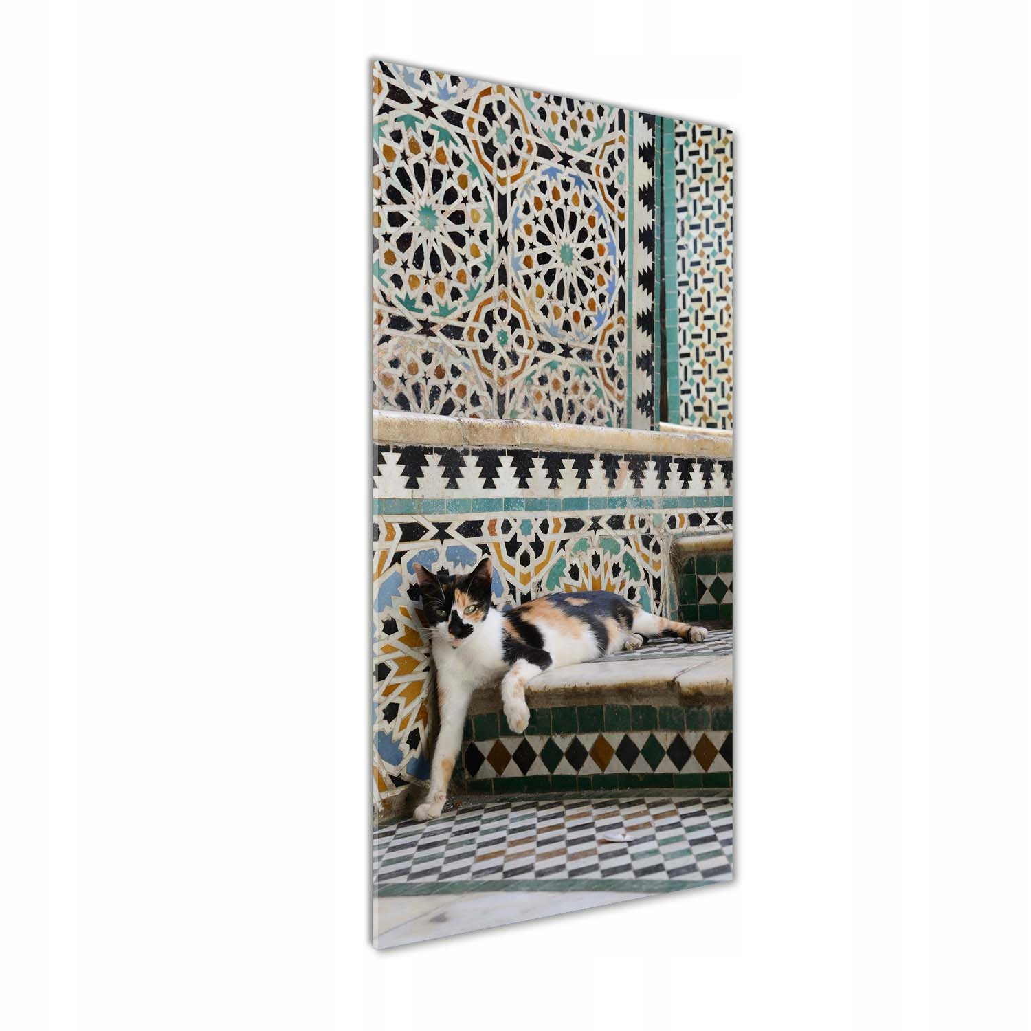 Moderný akrylový fotoobraz Mačka v Maroku 50x125