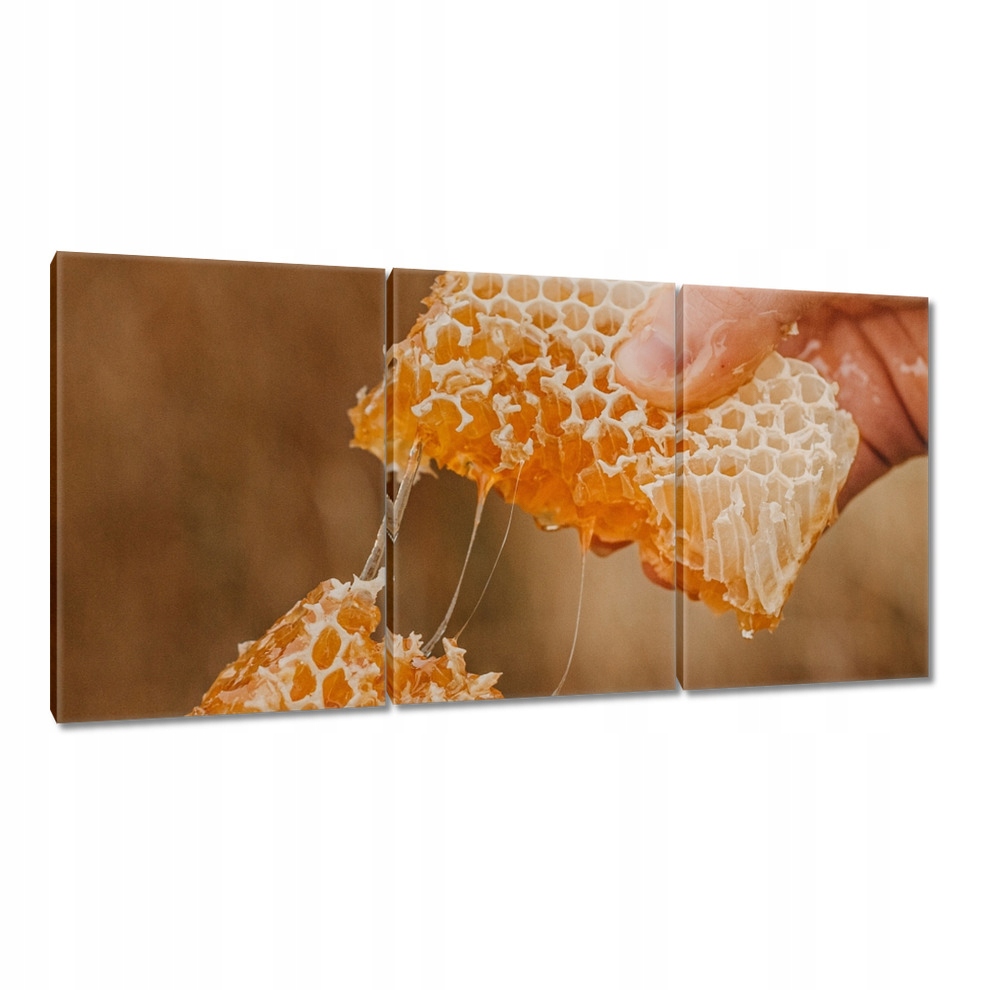

Obrazy 120x60 Miód Miodek Pszczelarstwo
