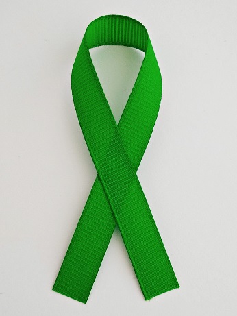 

Zielona Wstążka – Zielona Kokardka