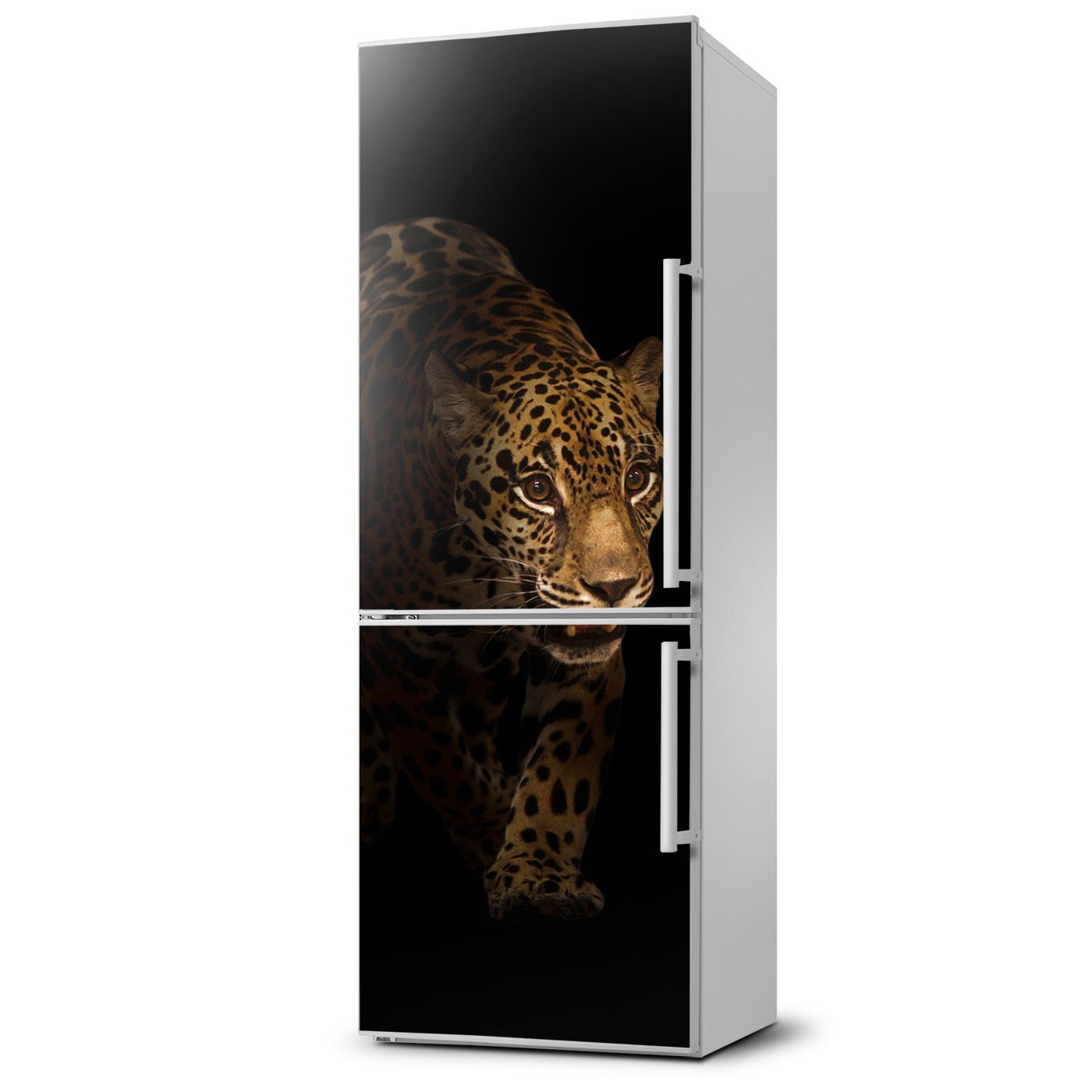 

Naklejka Magnes na lodówkę Jaguar 60x180