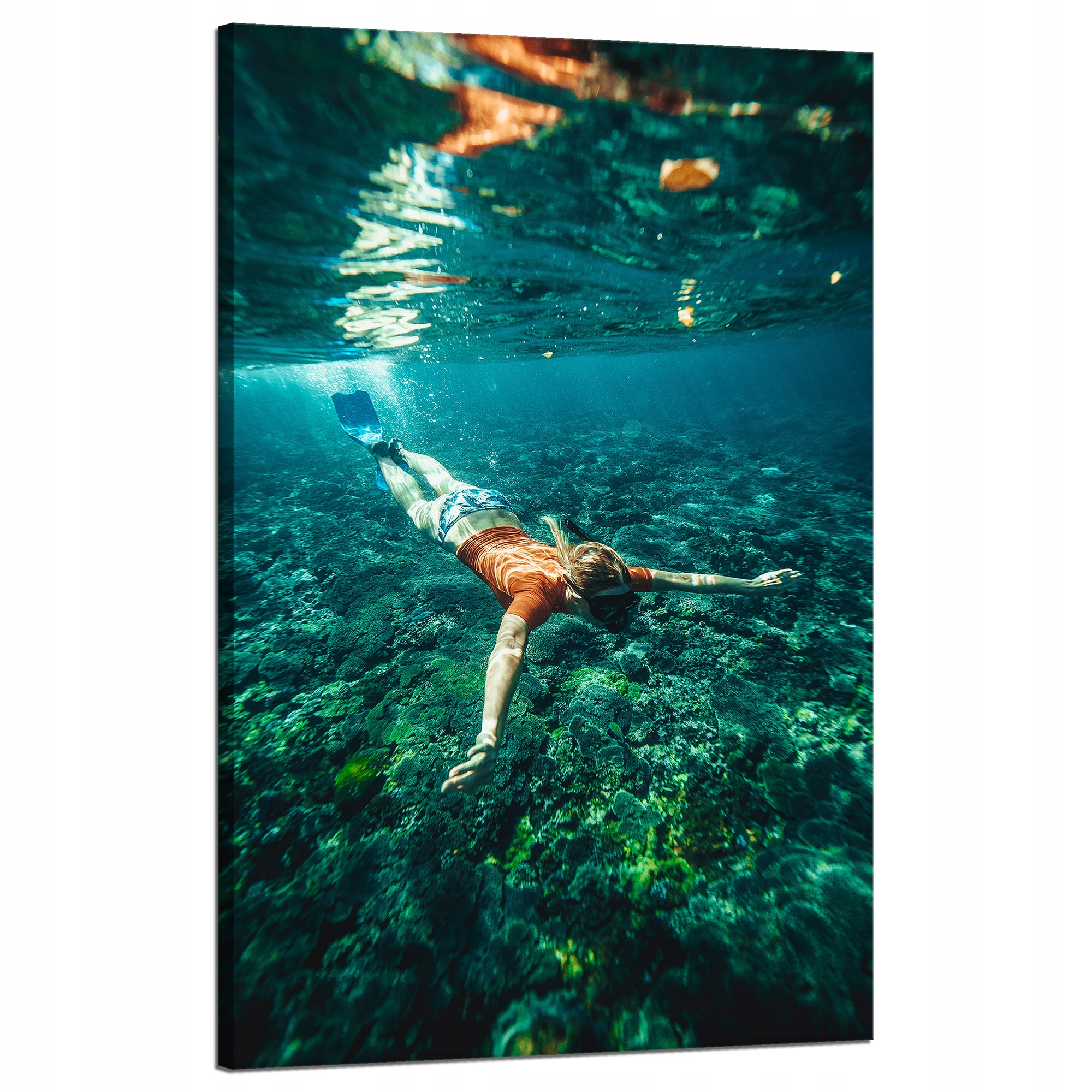 Obraz na plátně Lidé, oceán, potápění 50x80 cm