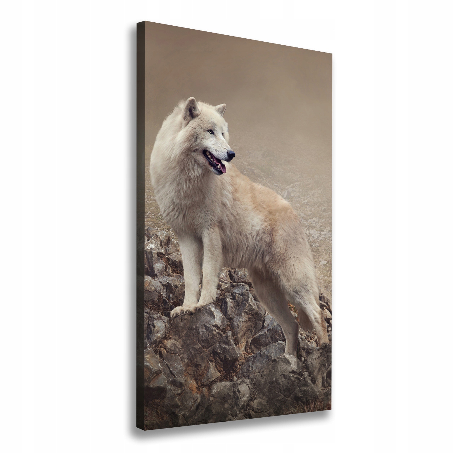 

Foto obraz canvas na ścianę Wilk na skale 70x140cm