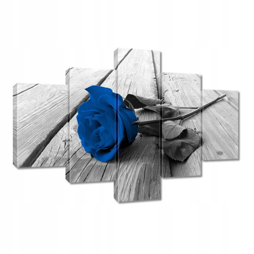 

Obrazy 100x70 Niebieska róża na moście