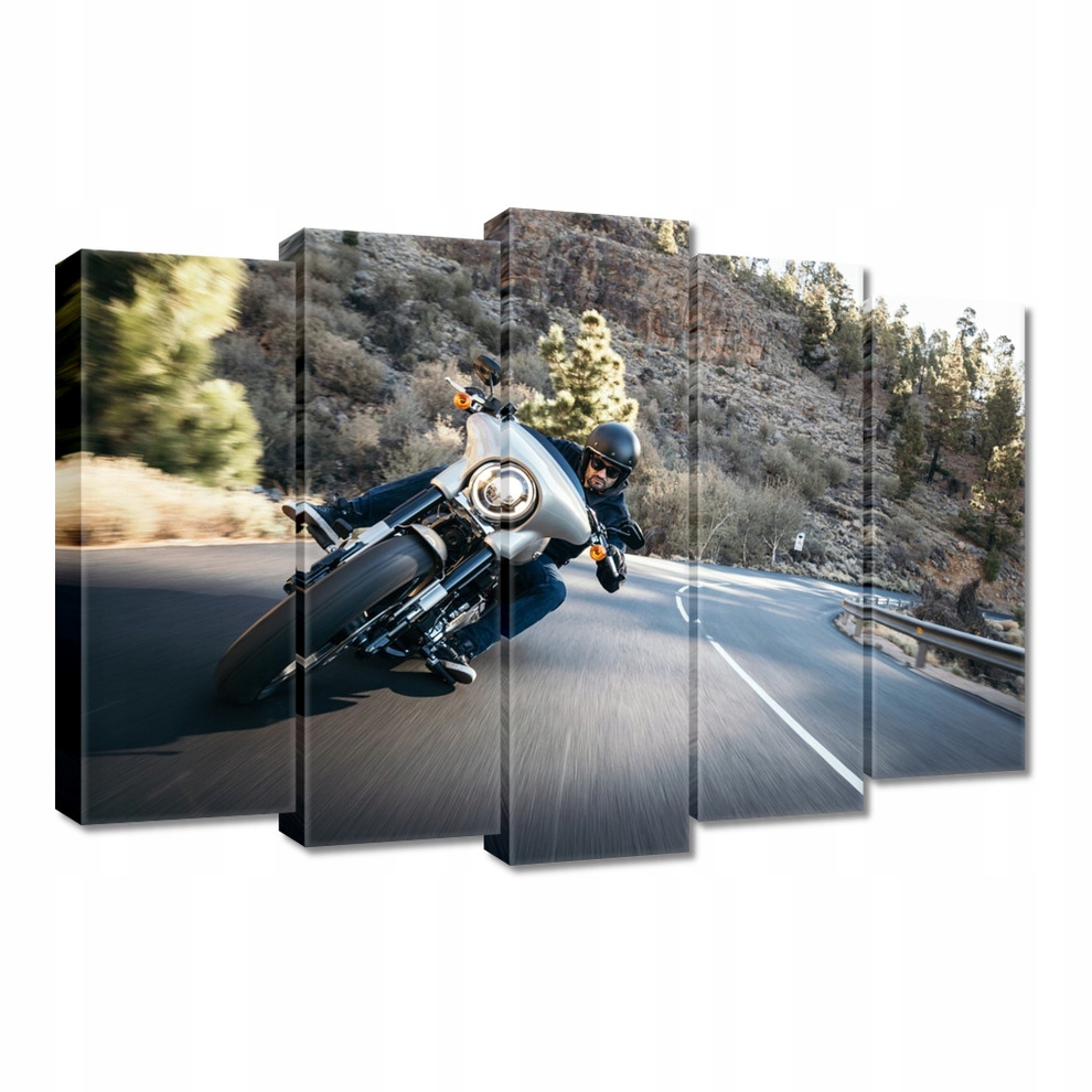 

Obrazy 70x50 Harley Davidson Motocykl