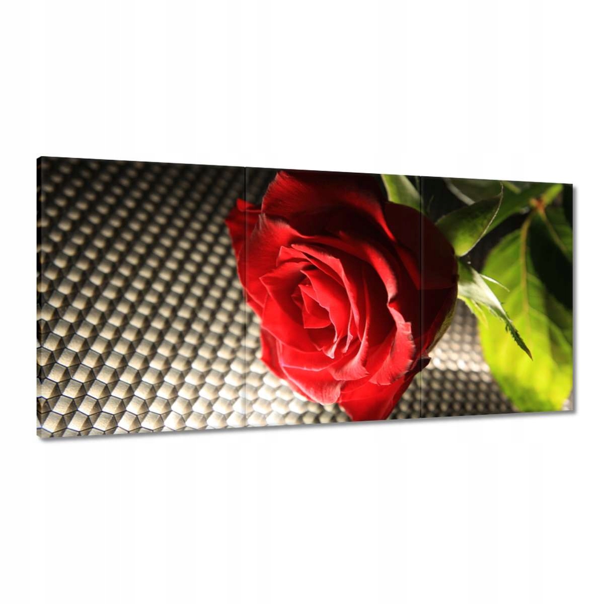 Obrazy 180x90 Vkusná ruža ako darček