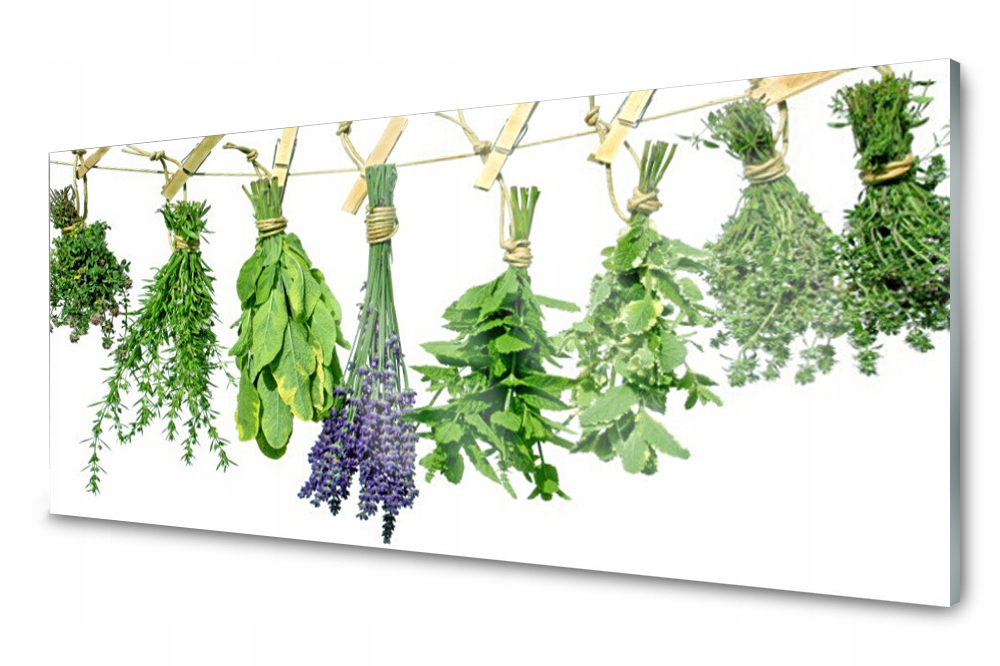 Sklenený panel do kuchyne Okvetné lístky Kvety Byliny 125x50