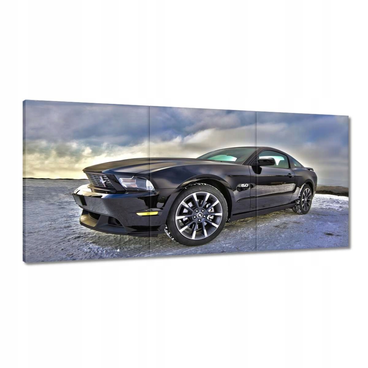 Obrazy 210x100 Ford Mustang na snehu Auto Klasika vyrobené v Usa