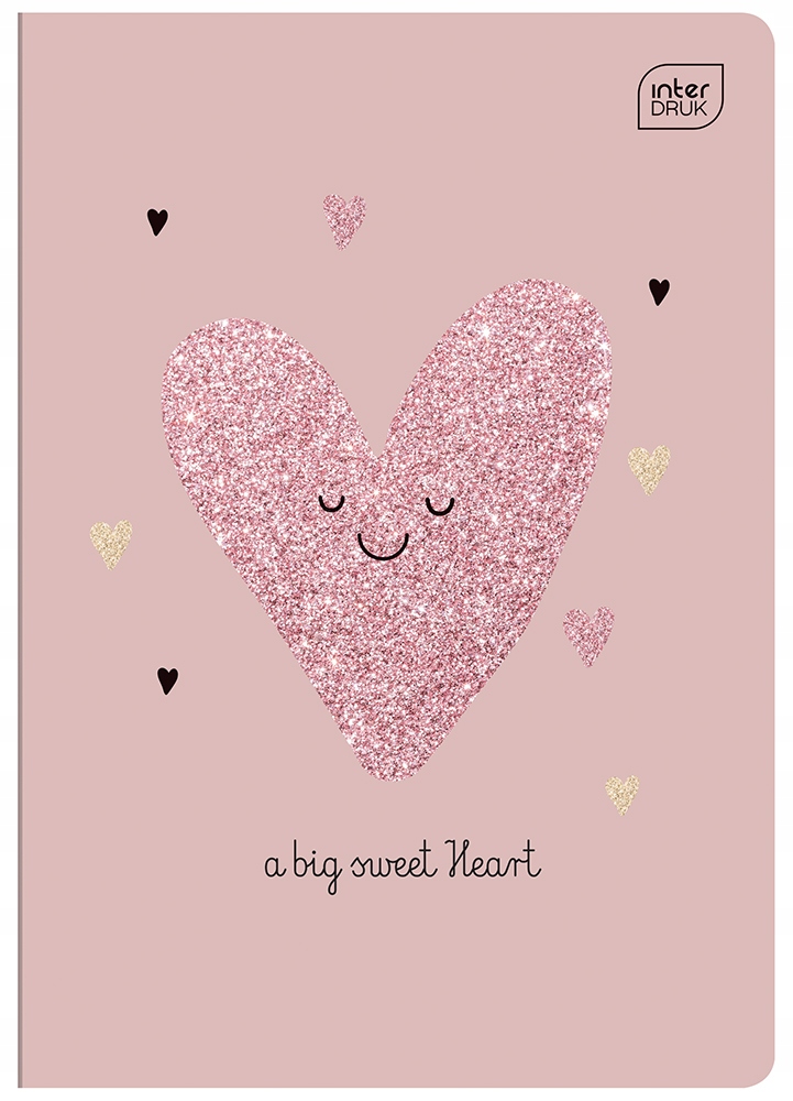 

Zeszyt A5 16 Trzy Linia Kolor Glitter Girl Bro WZ3