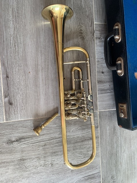 Труба крылатая Амати