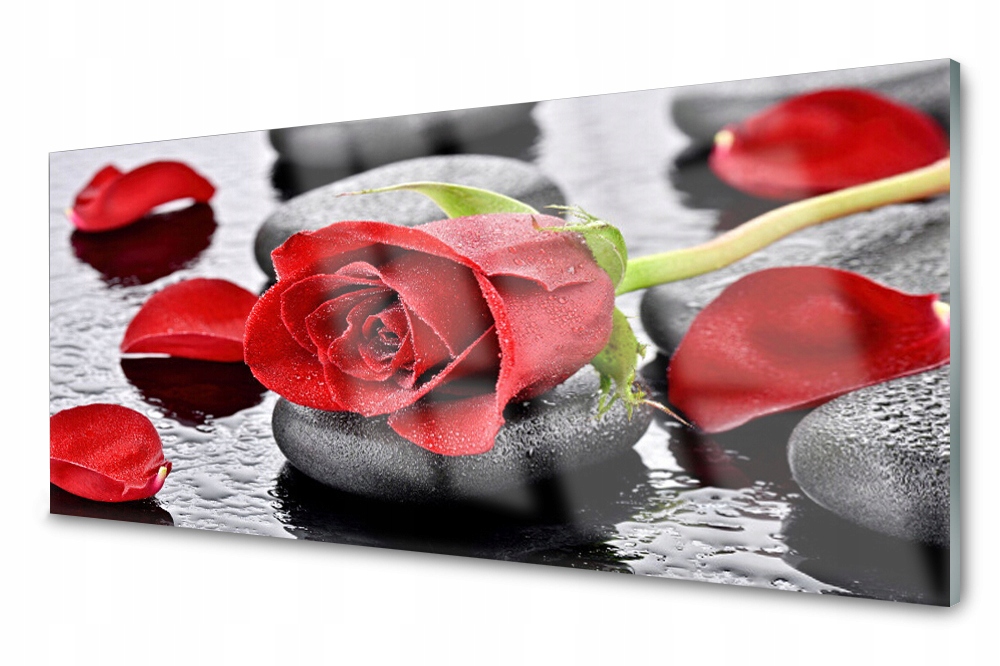 

Panel szklany do kuchni Róża Kwiat Zen 125x50